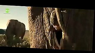 Elephants xxx videos